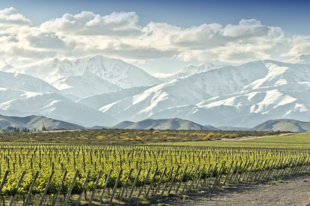 Vspt Wine Group Launches Uk Subsidiary